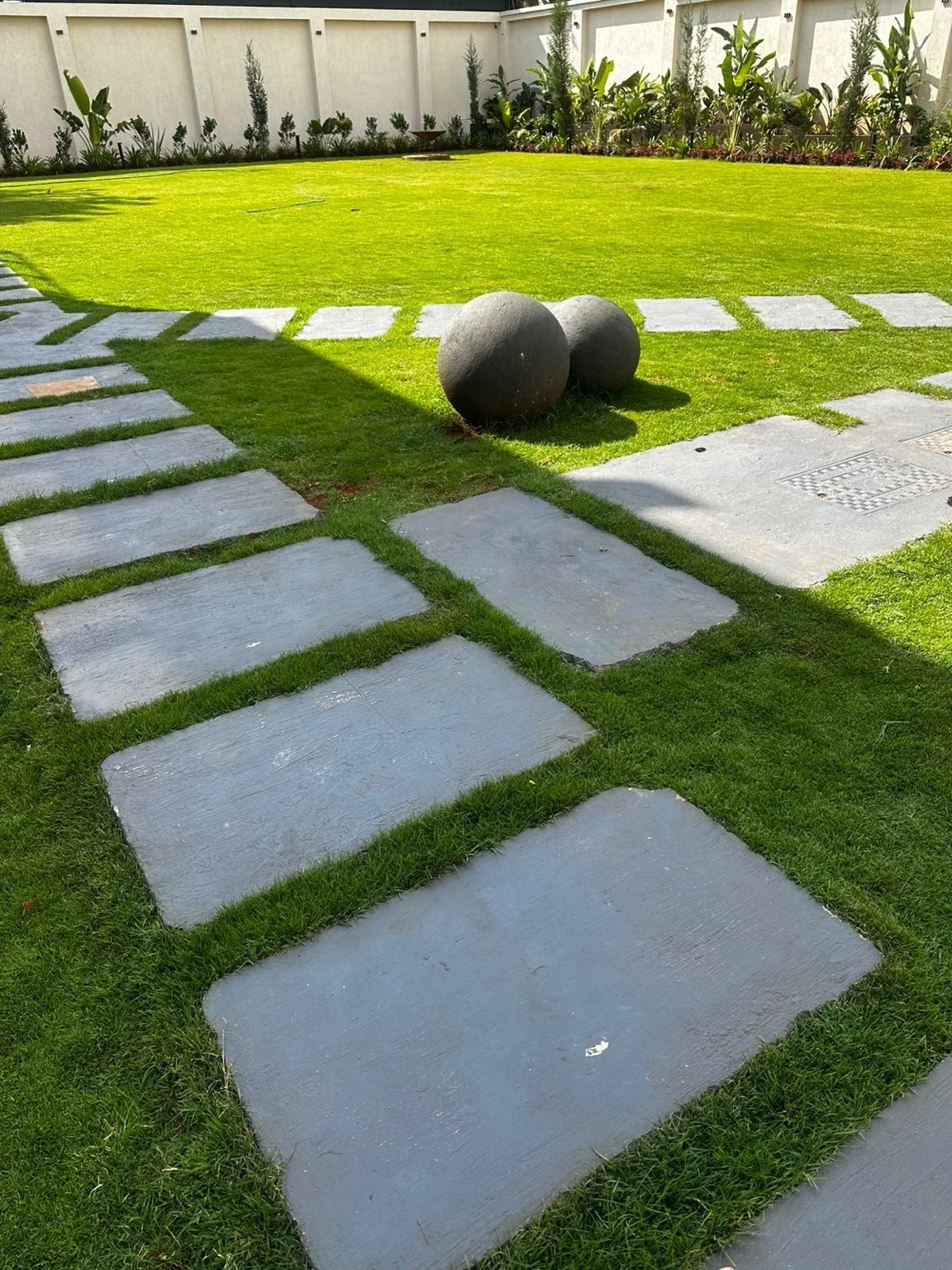 Stone stepping path across the restored lawn, with perimeter planting beyond