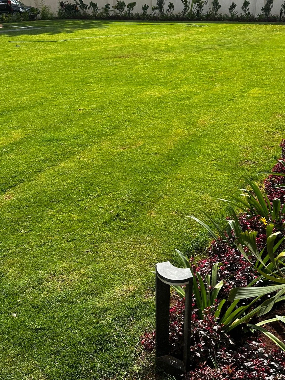 Restored lawn with border planting and garden lighting