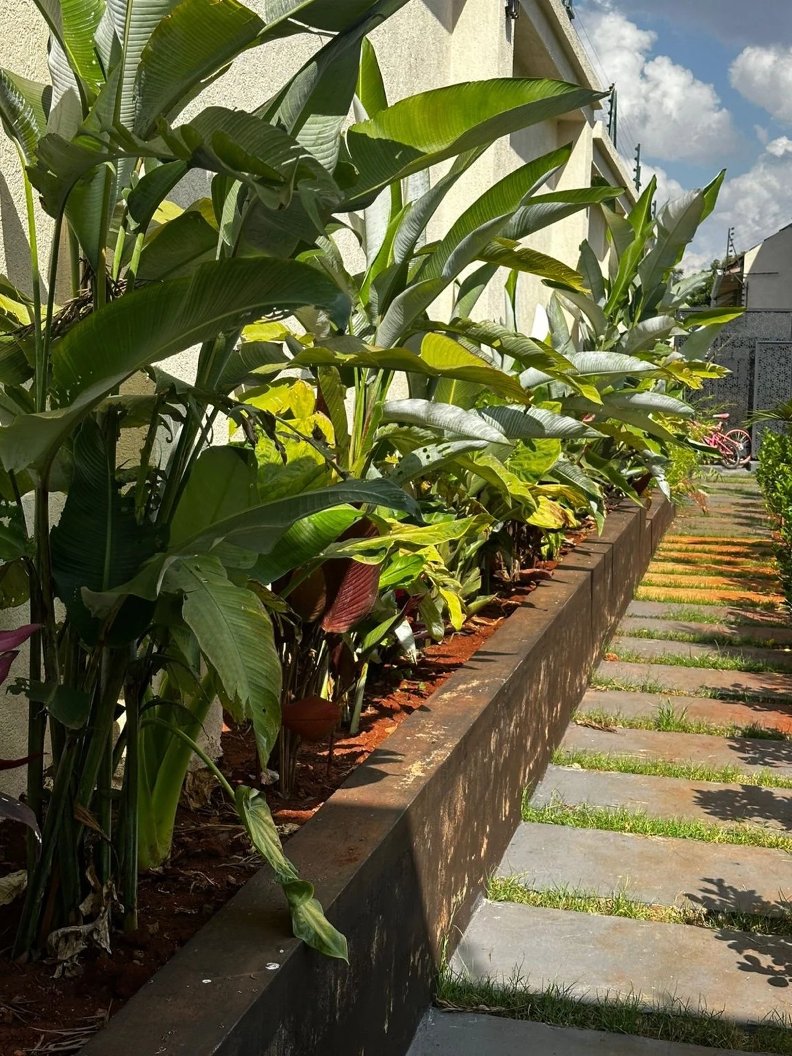Layered tropical border along the house wall, with stone paving alongside