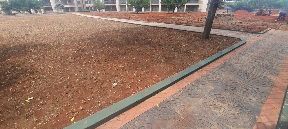 Campus grounds — established lawns and circulation