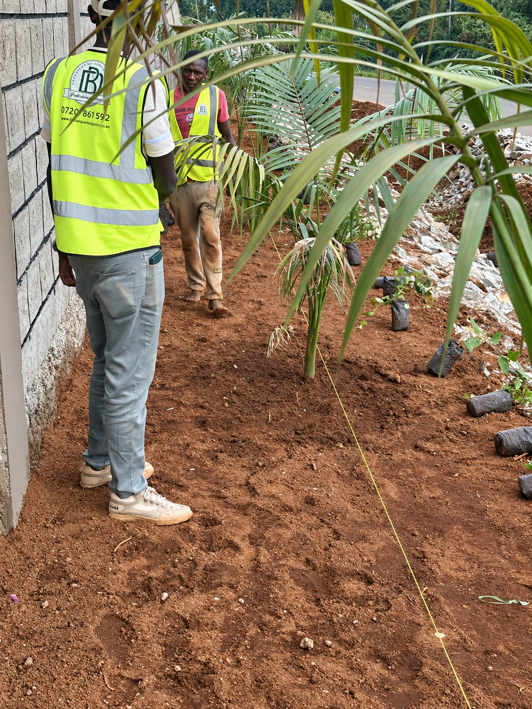 Botanique team members working along the aligned palm corridor.