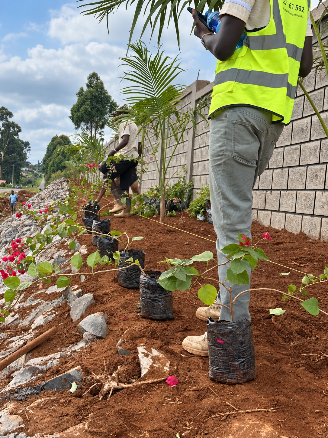 Botanique team and container-grown plants at the roadside planting strip.