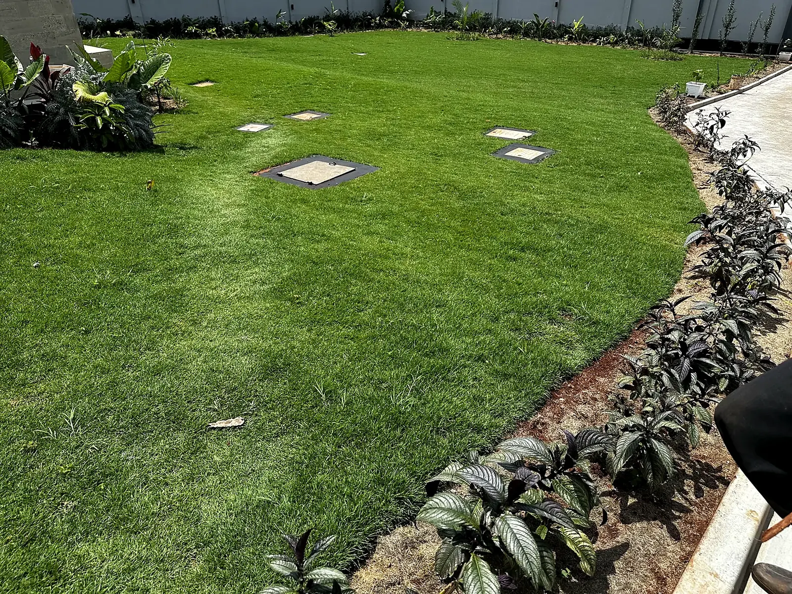 Curved planted edge defining the lawn.