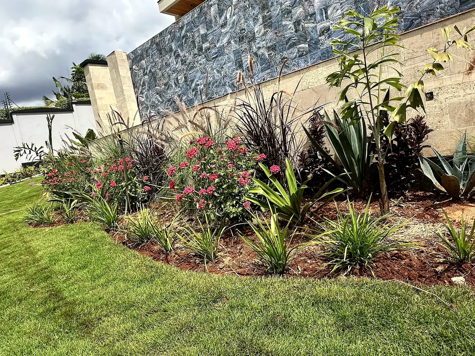 Flowering border with mixed foliage and ornamental grasses.