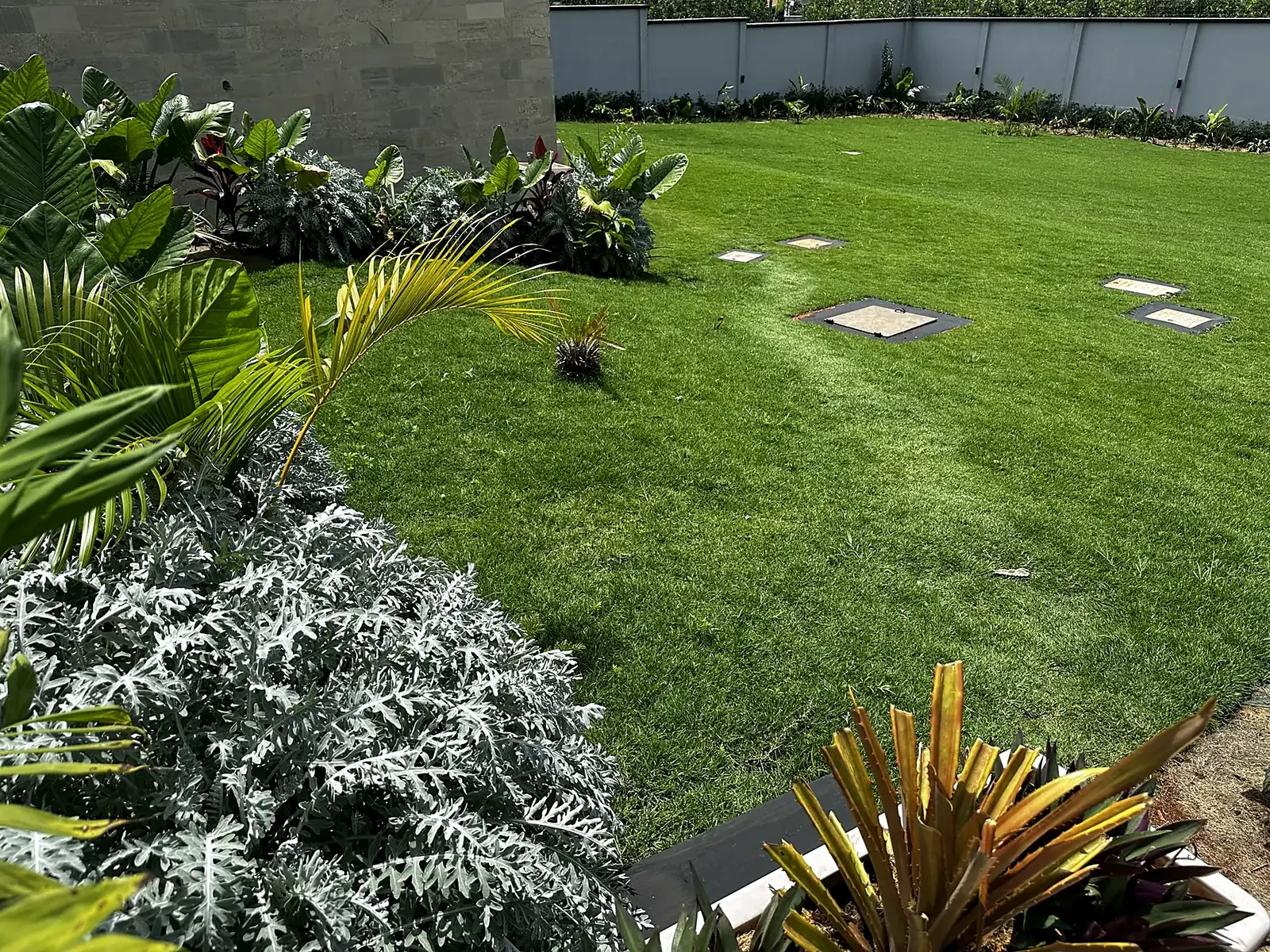 Tropical planting beside the lawn.