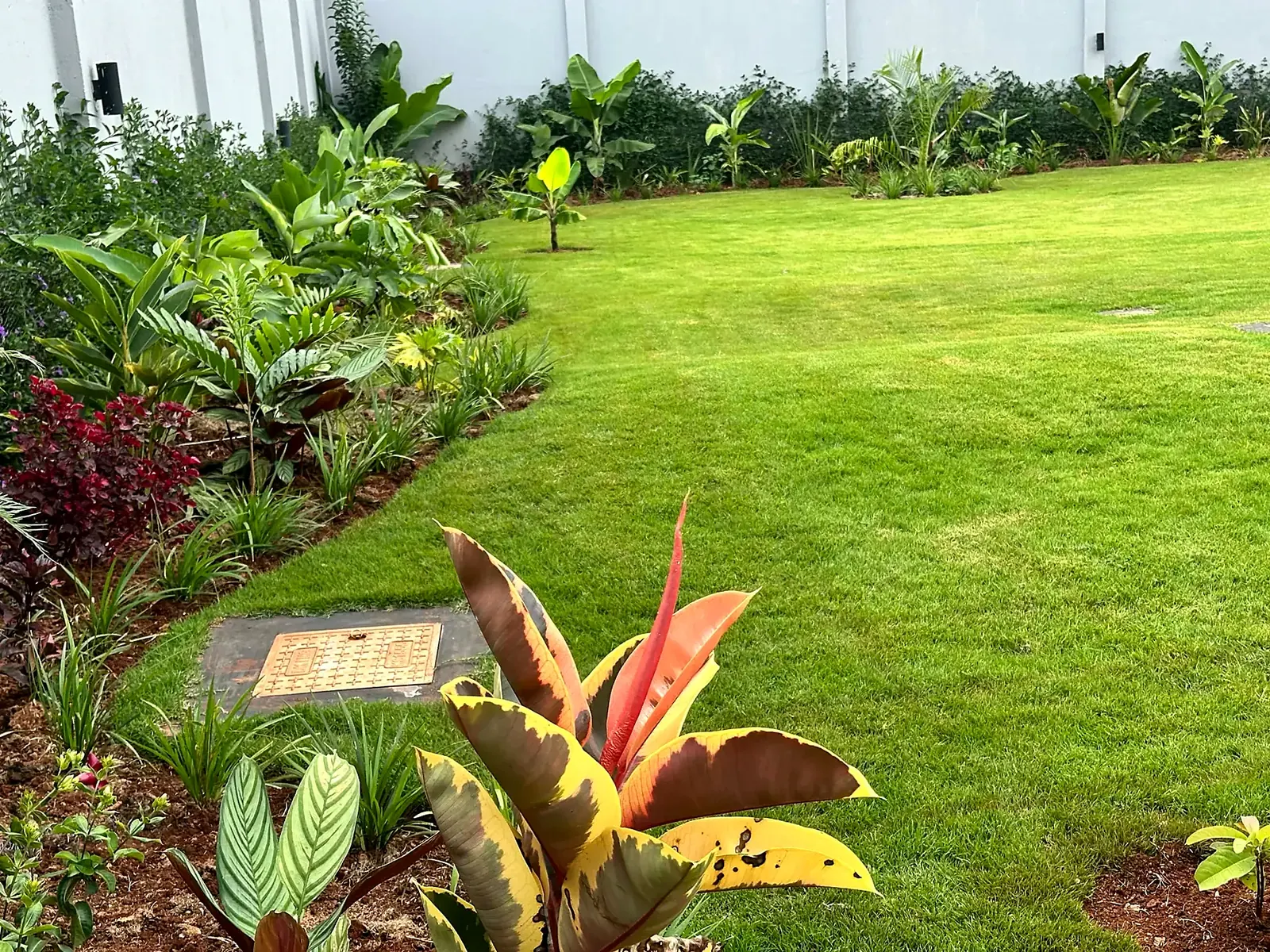 Layered tropical planting along the boundary.