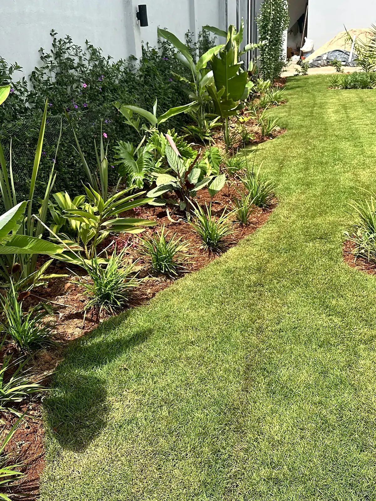 Side lawn with a planted garden border.