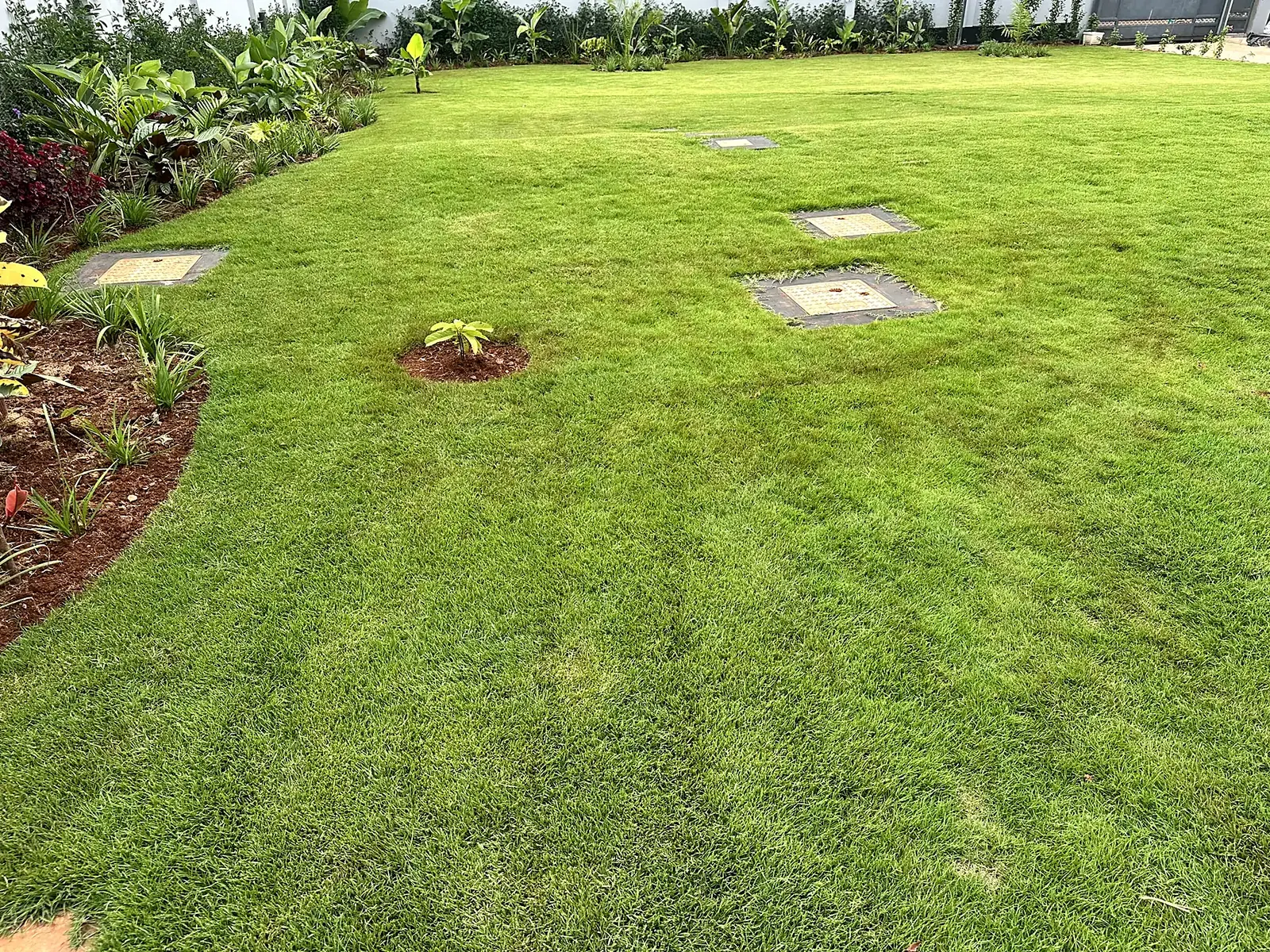 Broad lawn framed by planting along the garden edge.